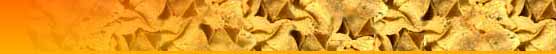 protein chips